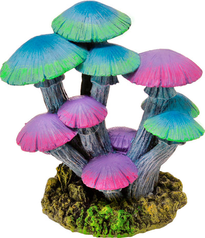 Exotic Environments Mushroom Garden