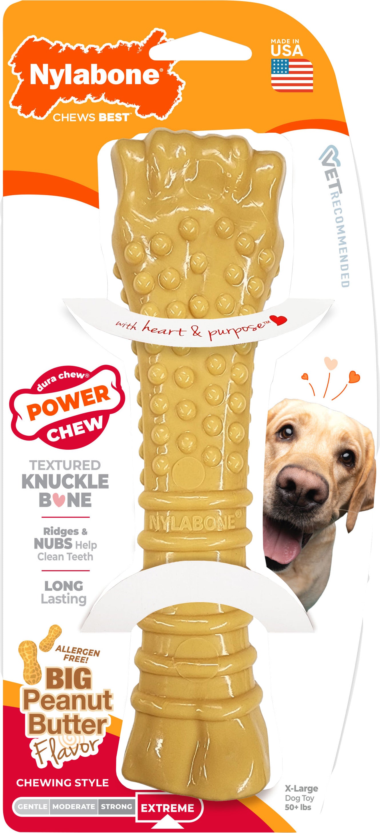 Nylabone Power Chew Bone