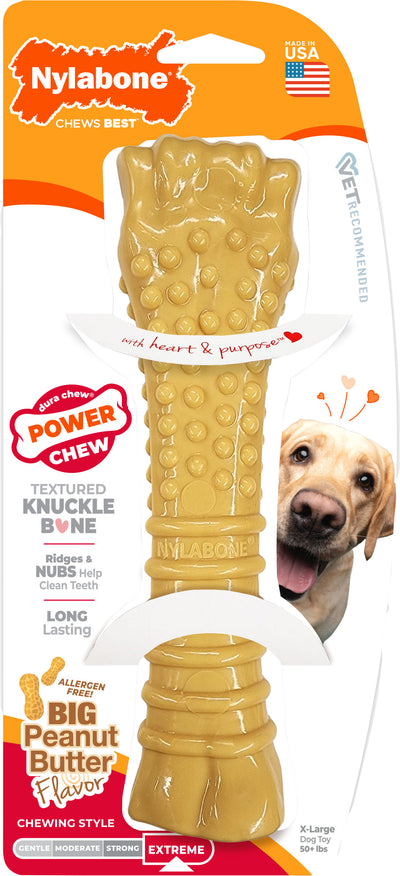 Nylabone Power Chew Bone