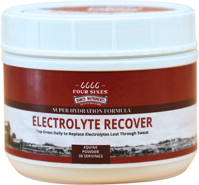 6666 Electrolyte Recover Powder