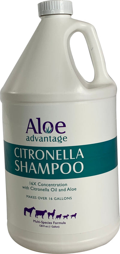 Aloe Advantage Citronella Shampoo 16x Conc