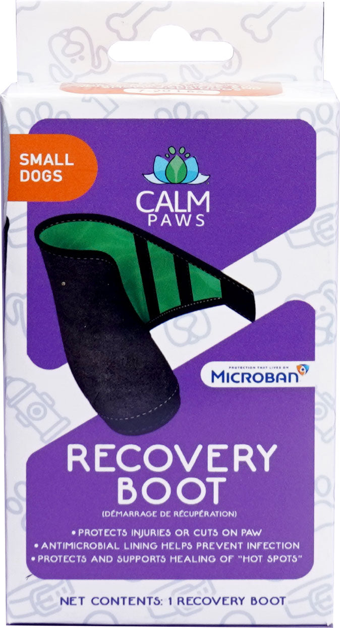 Calm Paws Recovery Boot