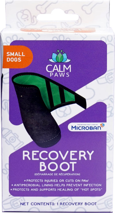 Calm Paws Recovery Boot