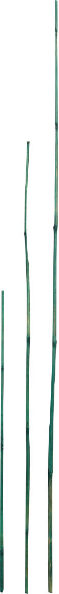 D&D Garden Packaged Bamboo Stakes