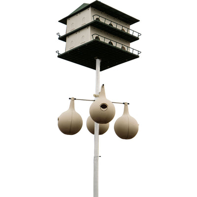 Purple Martin House Pole W/Gourd Rack Kit
