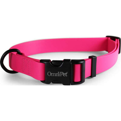 Carnival Biothane Dog Collar