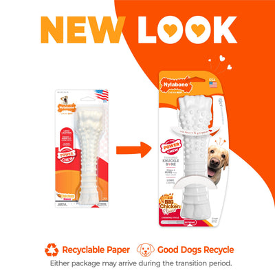 Nylabone Power Chew Bone