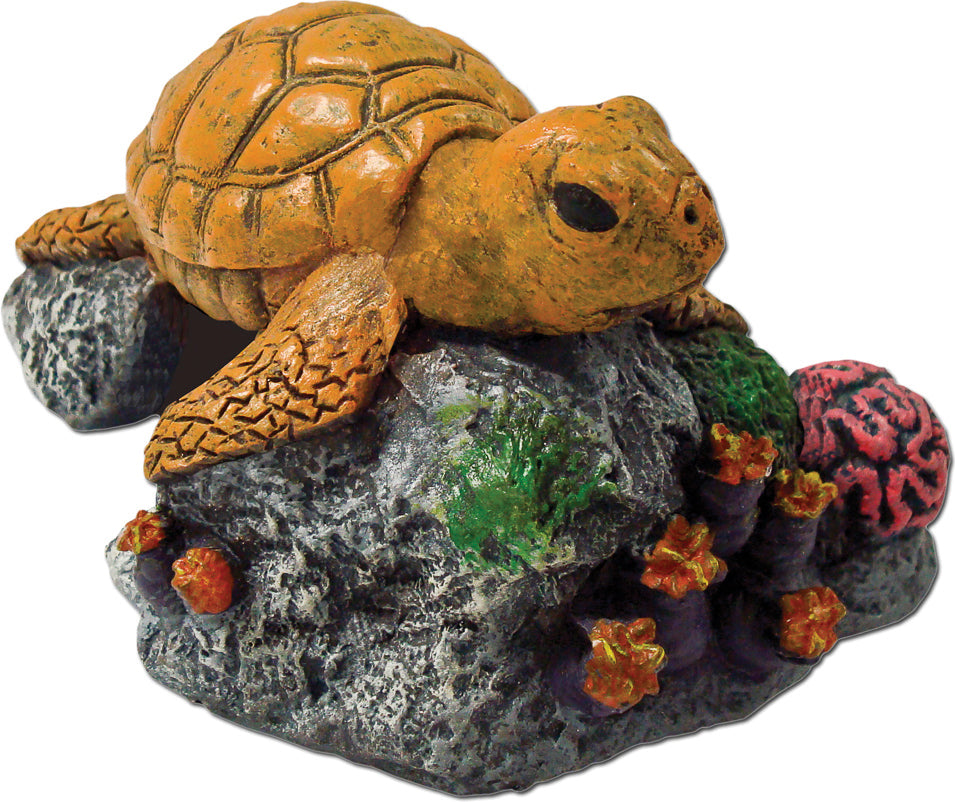 Exotic Environments Sea Turtle