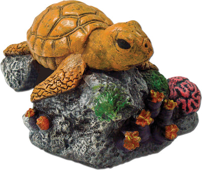 Exotic Environments Sea Turtle