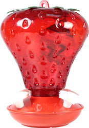 Strawberry Plastic Hummingbird Feeder