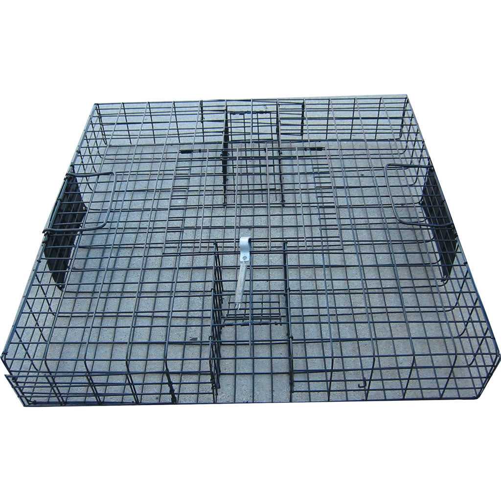 The Squirrelinator Live Squirrel Trap Only