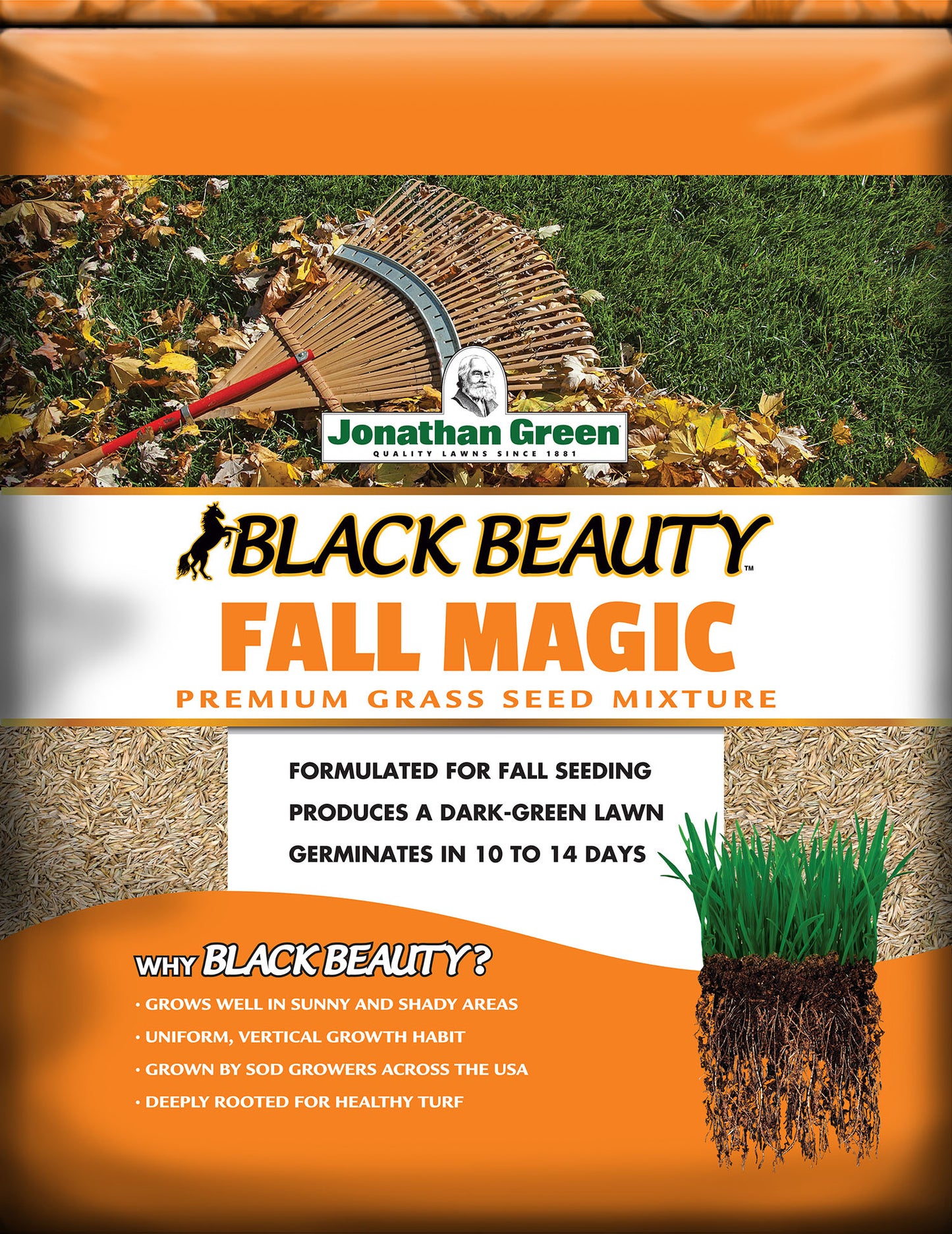 Fall Magic Grass Seed Mixture