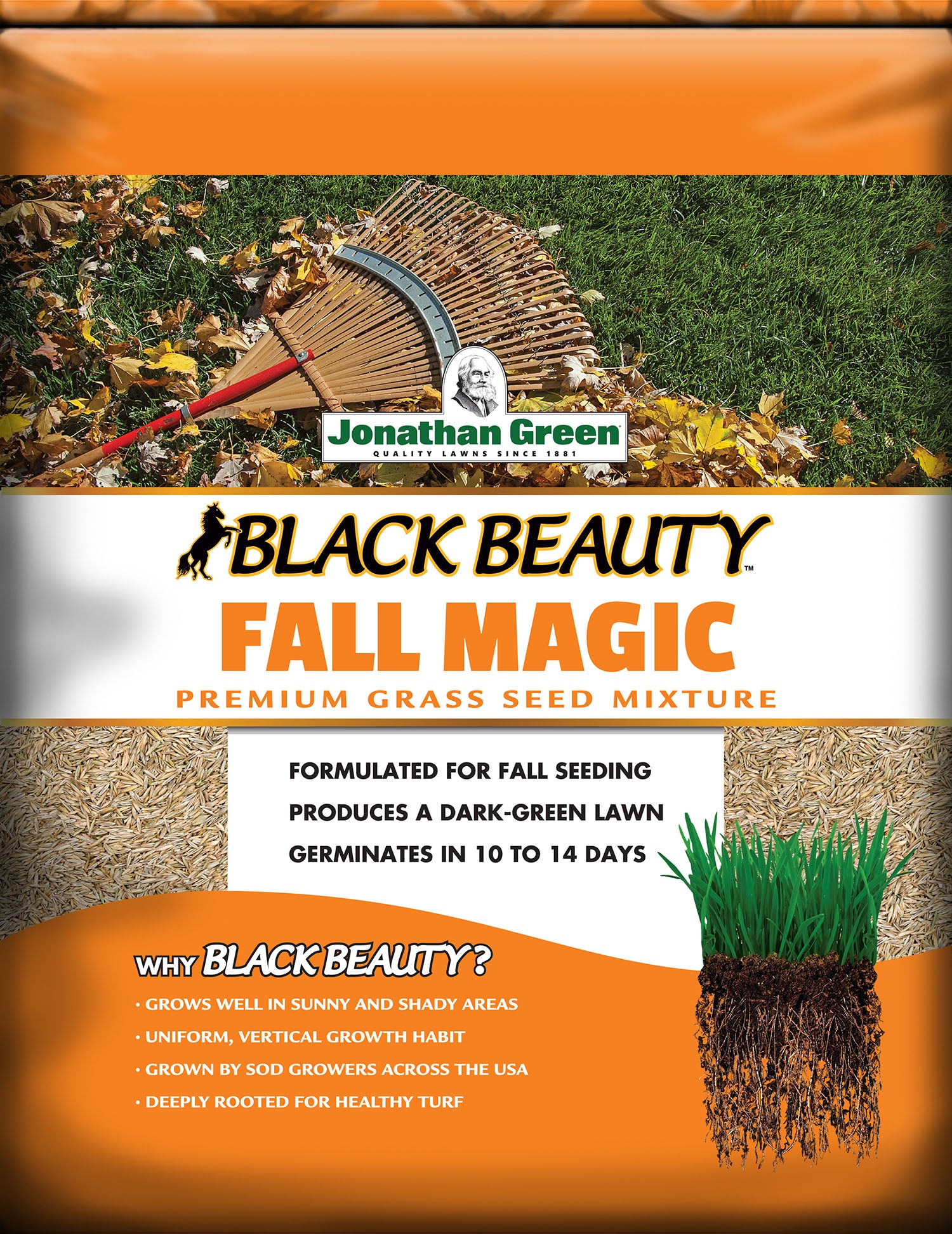 Fall Magic Grass Seed Mixture