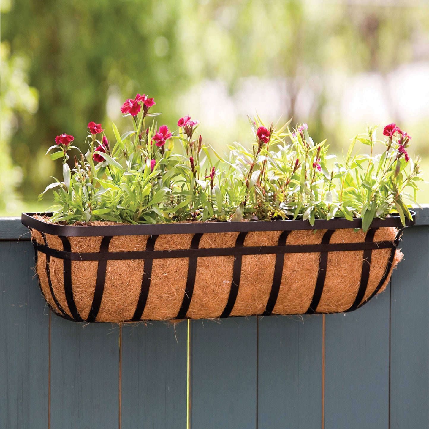 Wide Band Window Planter W/Coco Liner