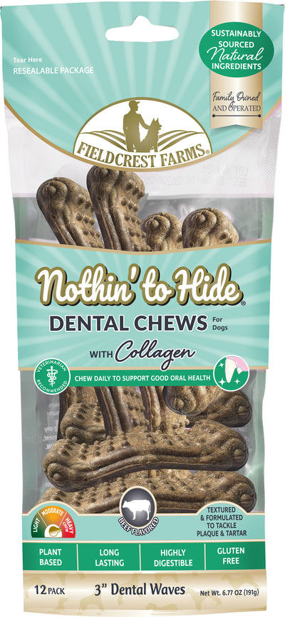 Nothin' To Hide Dental Wave
