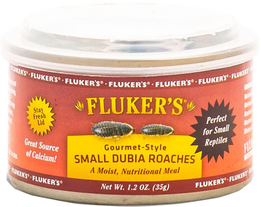 Gourmet Canned Small Dubia Roaches