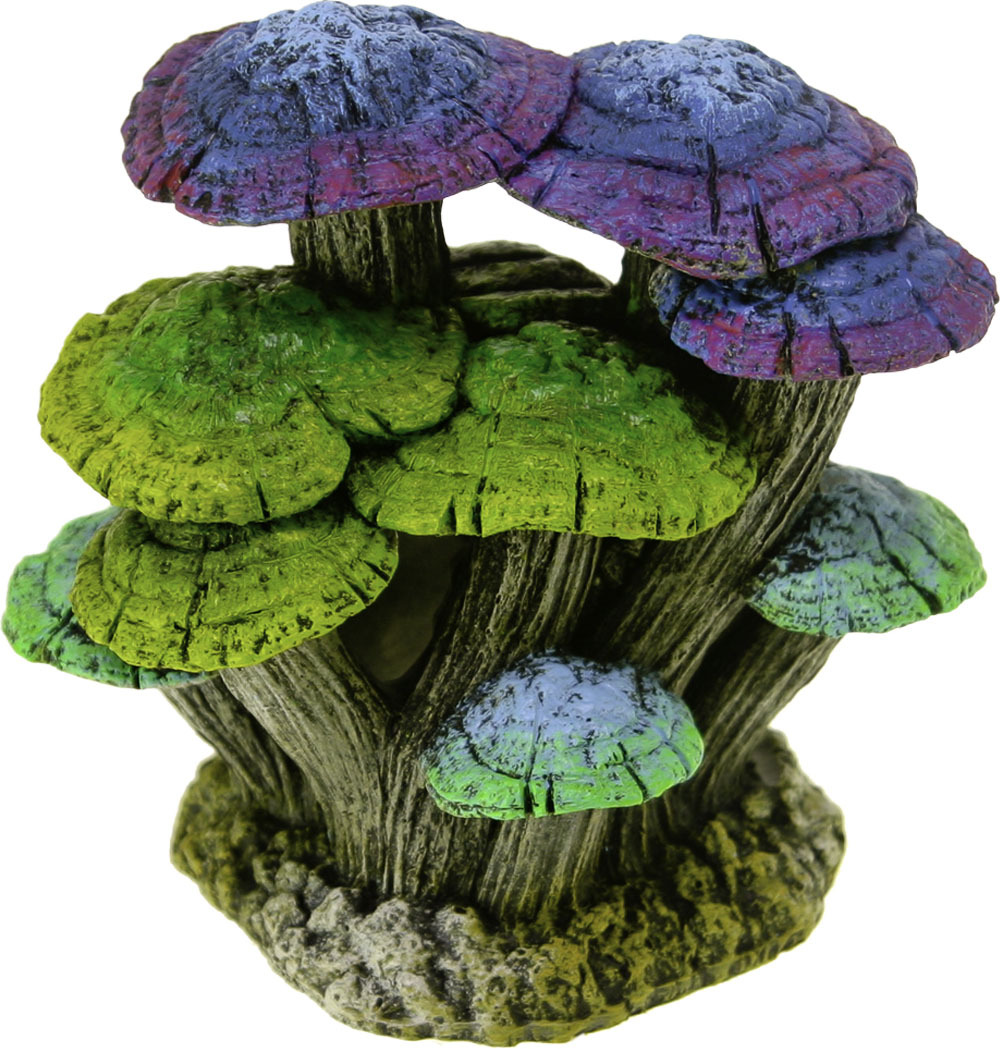 Exotic Environments Driftwood Mushroom Garden