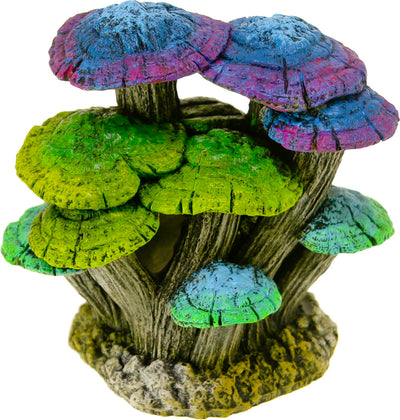 Exotic Environments Driftwood Mushroom Garden