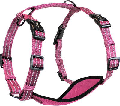 Alcott Adventure Harness