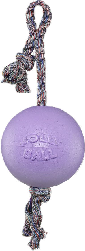 Jolly Pets Romp-N-Roll Ball