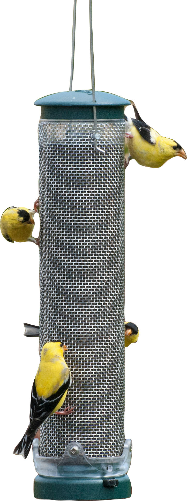Quick-Clean Finch Mesh Tube Feeder