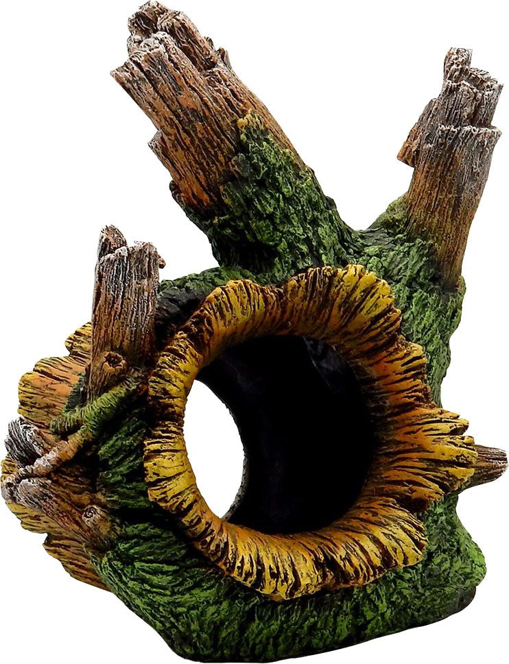 Exotic Environments Tree Root Tunnel