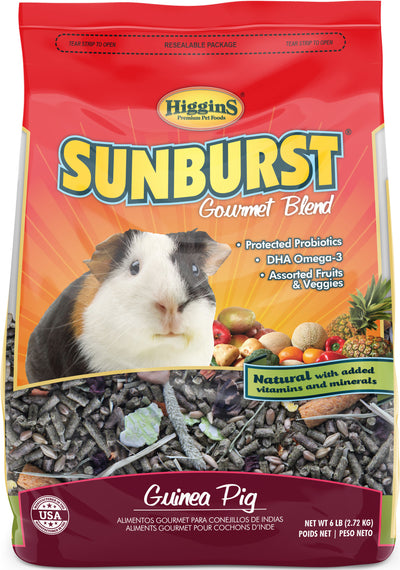 Sunburst Gourmet Blend Guinea Pig