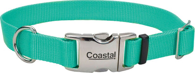 Adjustable Dog Collar W/ Metal Buckle