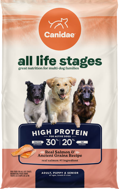 All Life Stages High Protein Dog Food
