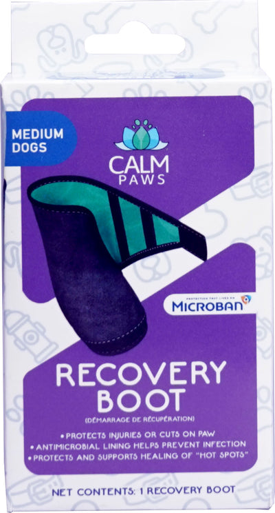 Calm Paws Recovery Boot