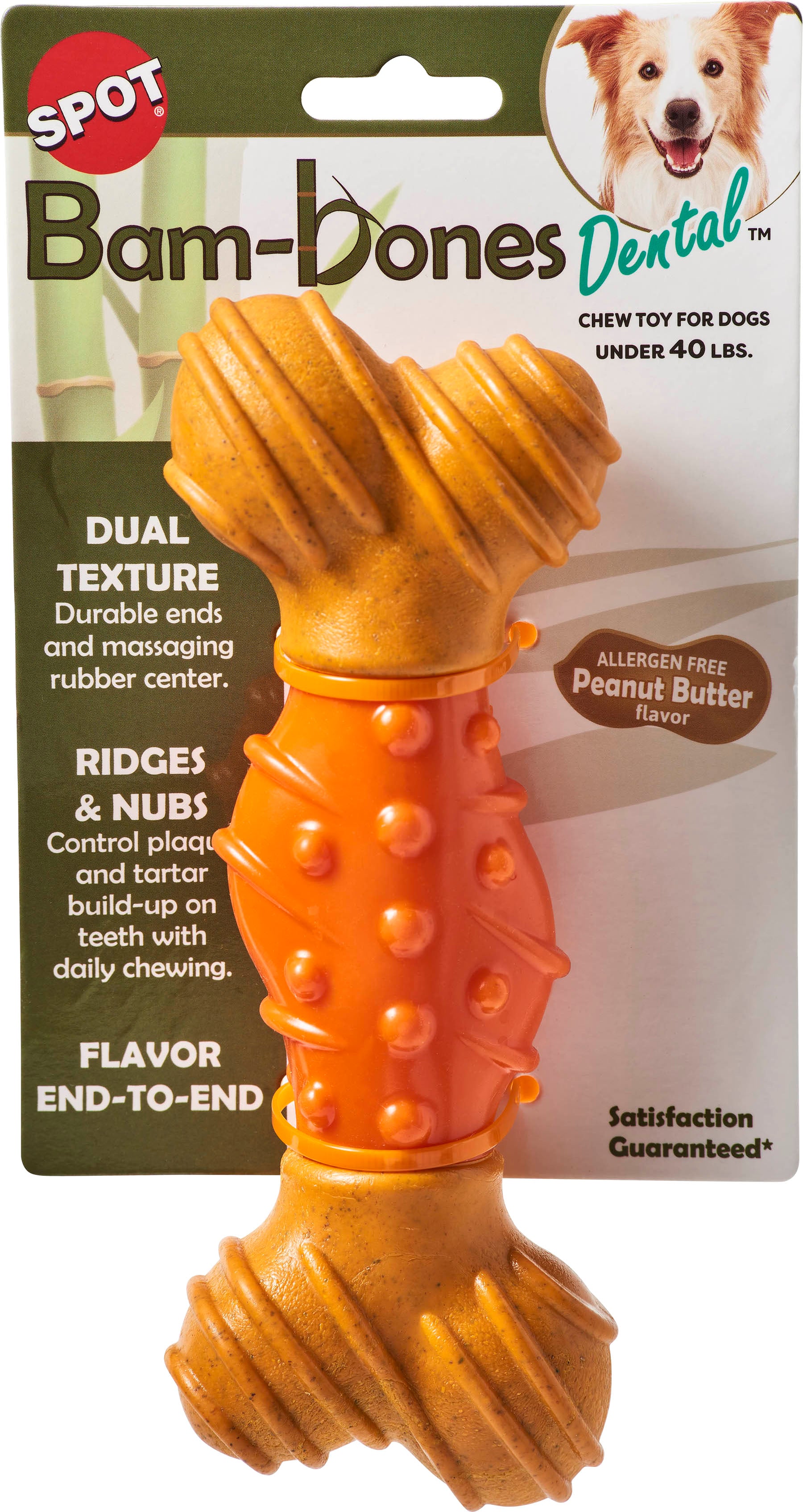 Spot Bambone Dental Bone