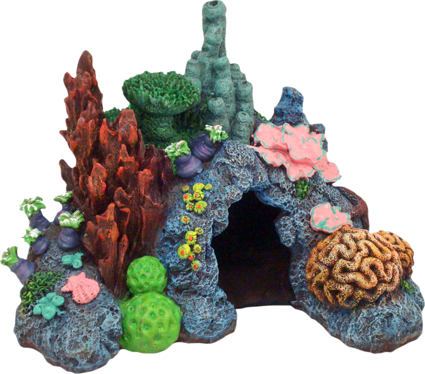 Exotic Environments Caribbean Living Reef