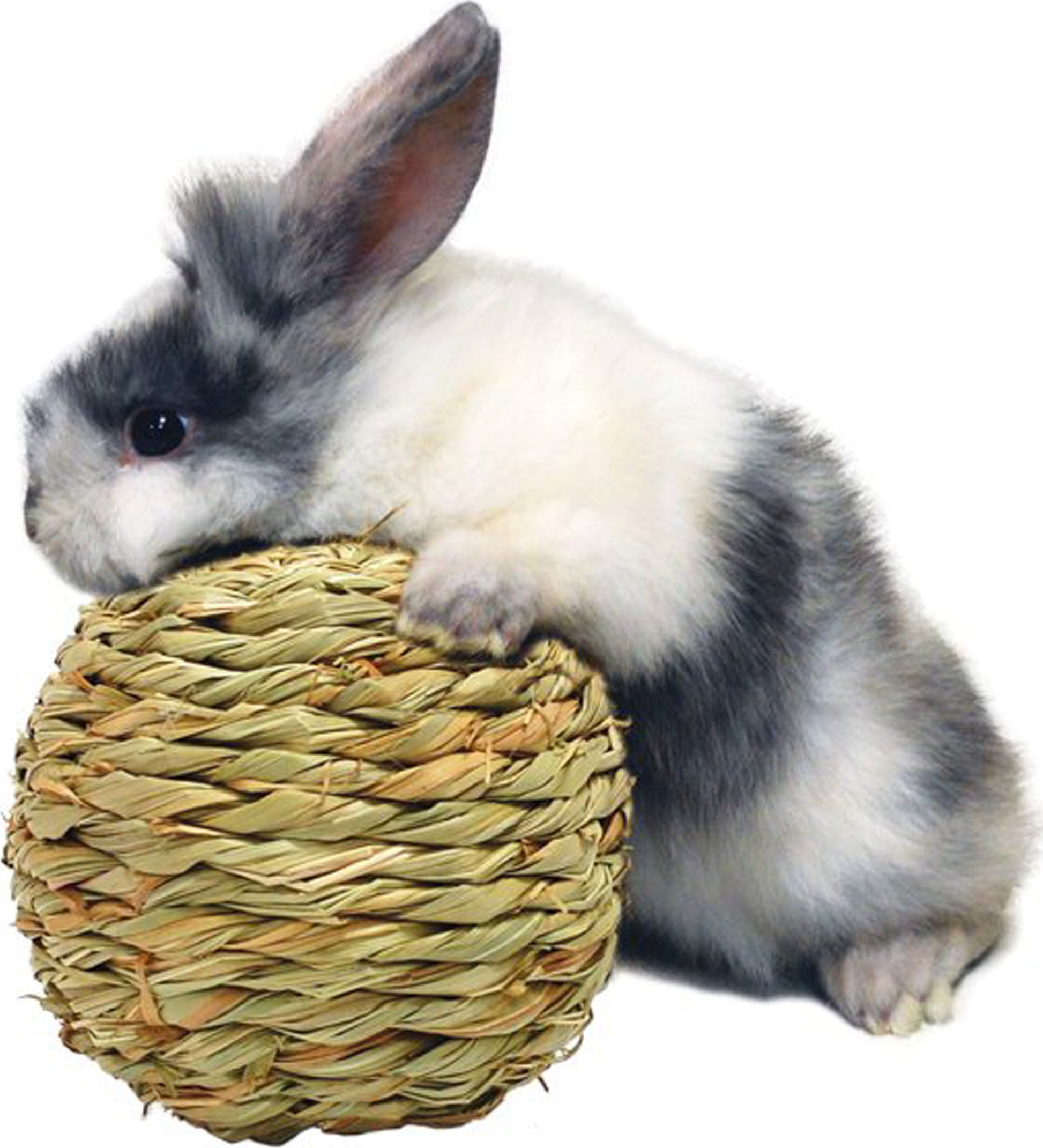 Peter'S Grass Woven Play Ball