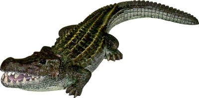 Exotic Environments Bubbling Alligator