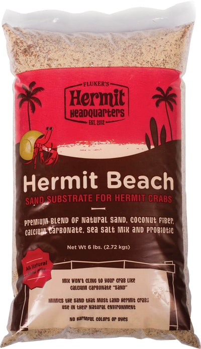 Hermit Headquarters Hermit Crab Beach Sand