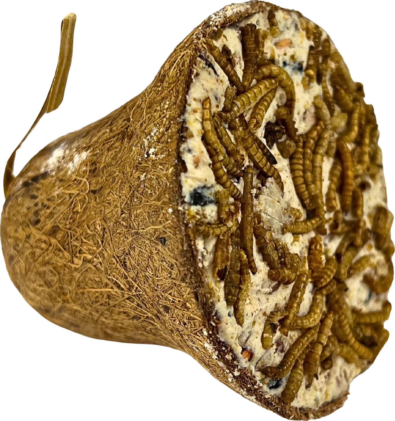 Garden & Fun Suet Bell