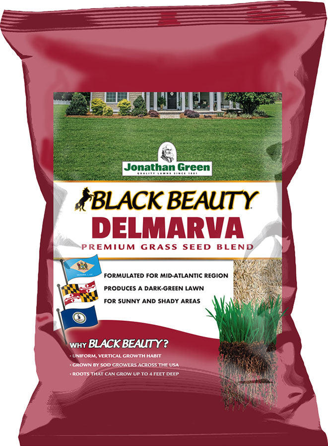 Black Beauty Delmarva Grass Seed Mixture