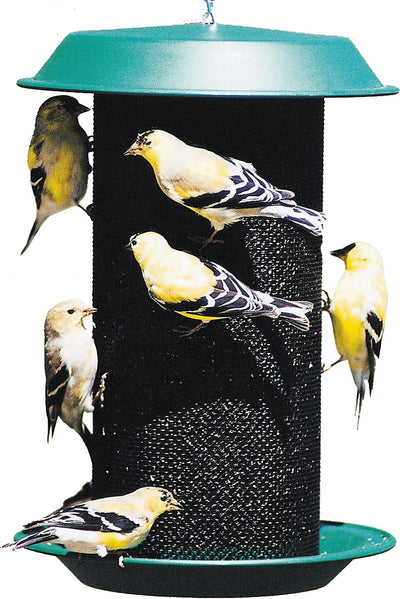 Magnum Plastic Thistle Screen Feeder