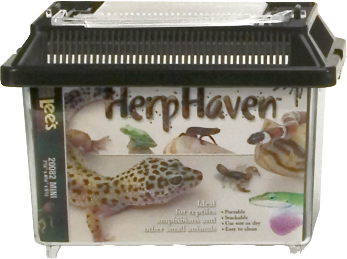 Herphaven Rectangle