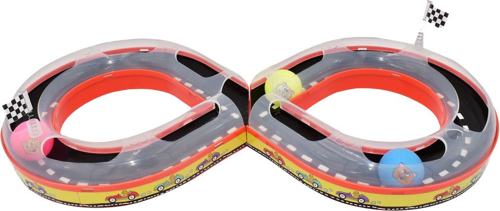 Multipet Racetrack For Cats
