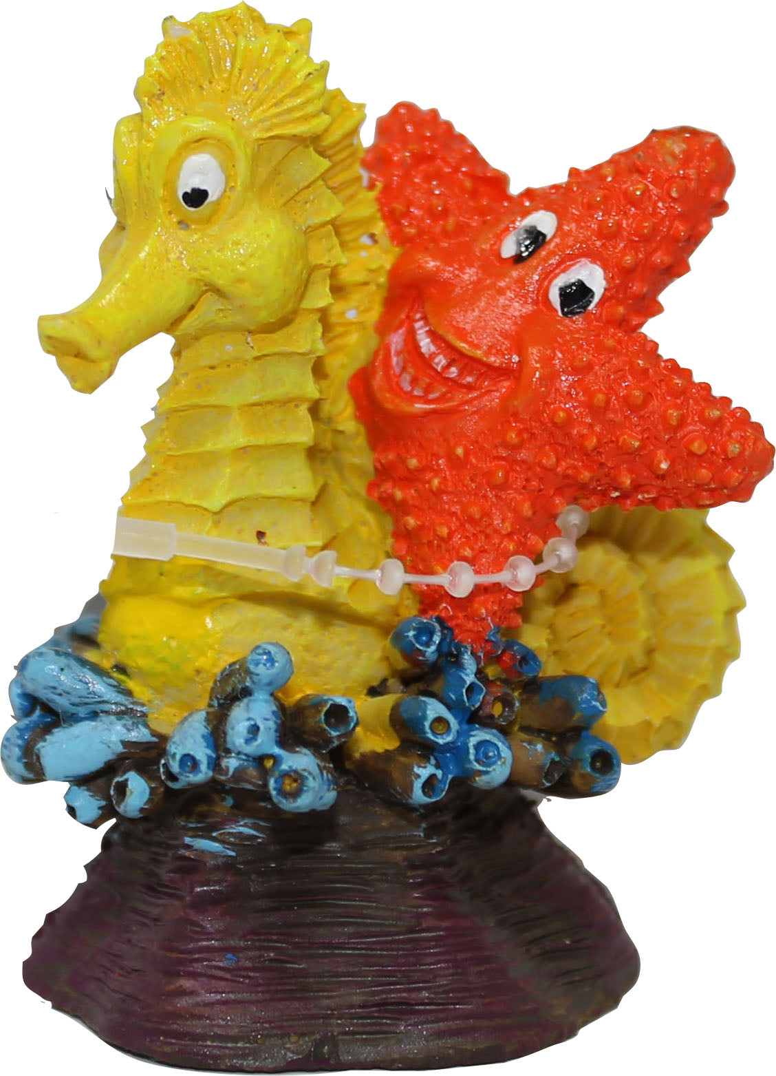 Exotic Environments Seahorse & Star