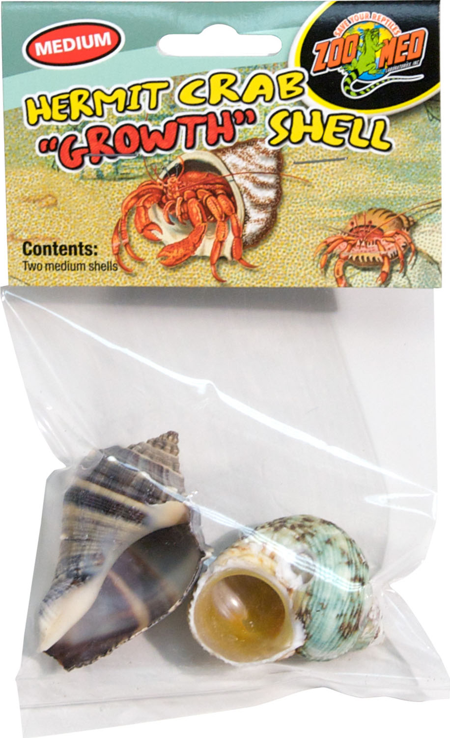 Hermit Crab Growth Shell