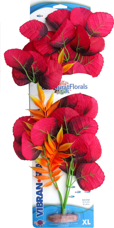 Color Burst Florals Broad Lily Leaf Silk Plant