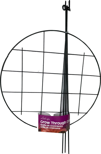 Link-Ups Grow Through Grid