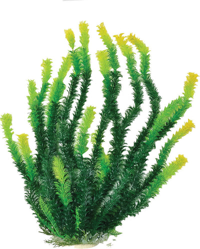 Bushy Weighted Aquarium Plant