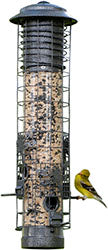 Dragonfly Squirrel-Resistant Tube Feeder