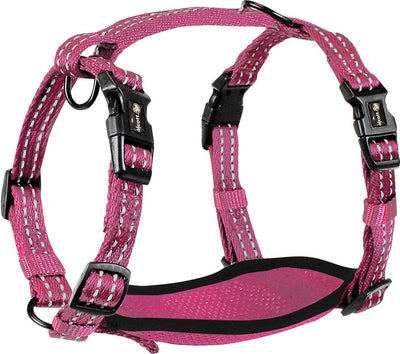 Alcott Adventure Harness