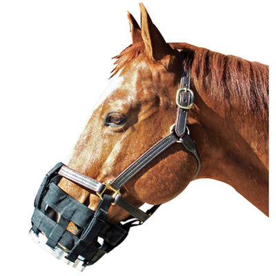 Best Friend Free-To-Eat Cribbing Muzzle