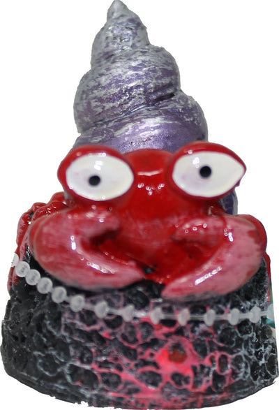 Exotic Environments Spiral Shell Crab