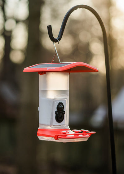 Feathersnap Smart Hummingbird Feeder
